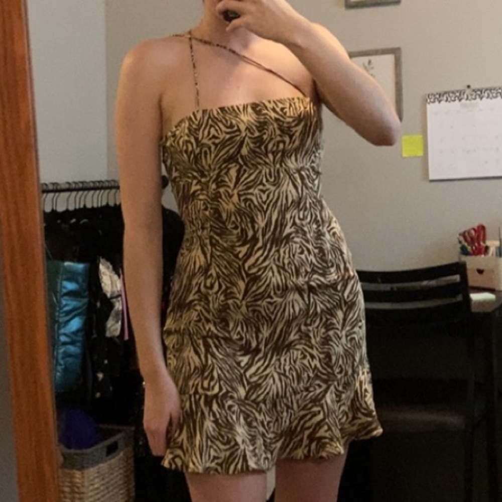 Brown zebra print dress